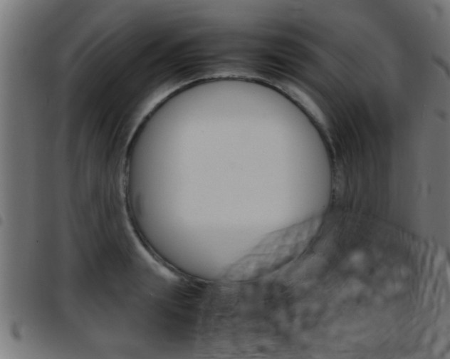 X0000097780847200803070911