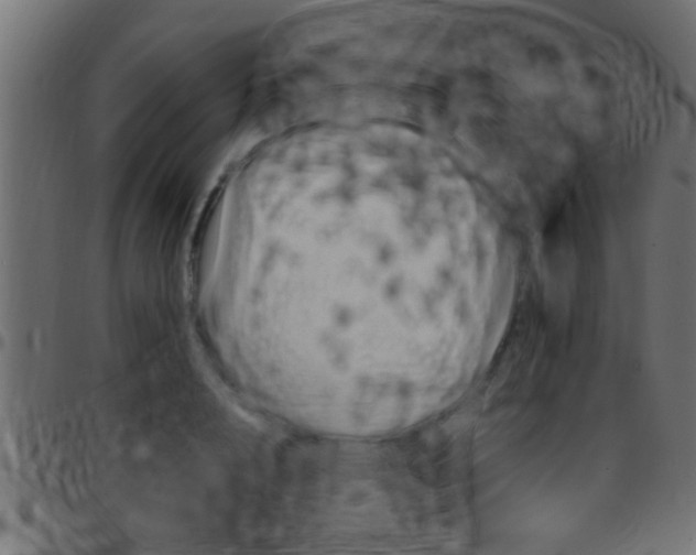 X0000097780848200803070911