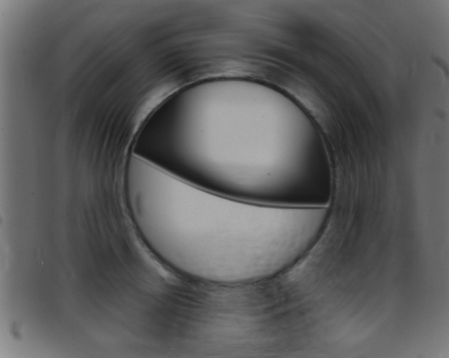 X0000097780850200803070912