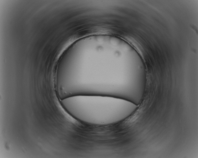 X0000097780851200803070912