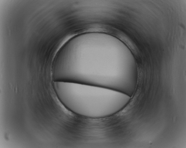 X0000097780852200803070912