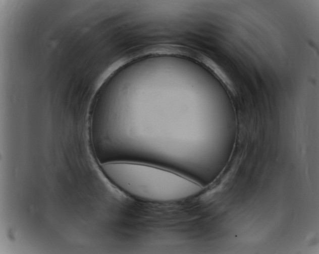 X0000097780853200803070912