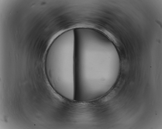 X0000097780854200803070912