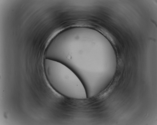 X0000097780855200803070912