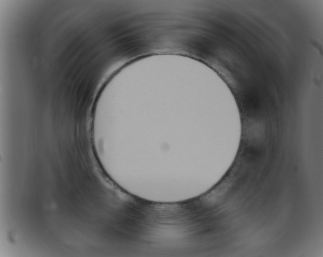 X0000097780856200803070912