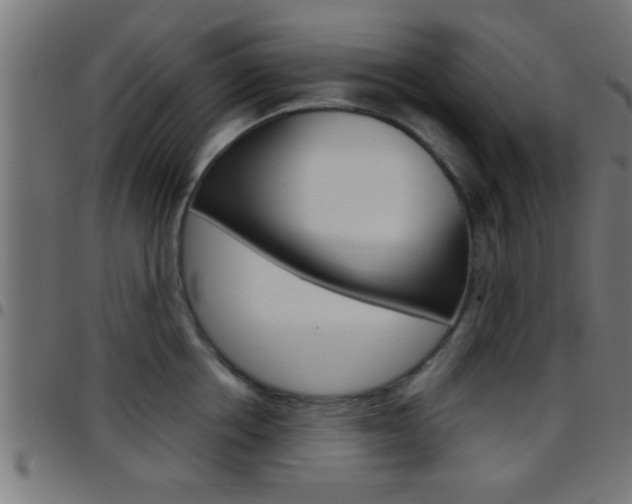 X0000097780858200803070912