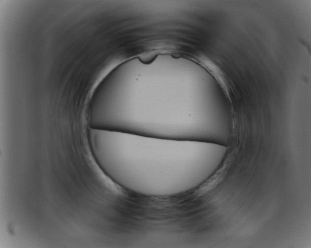 X0000097780859200803070912