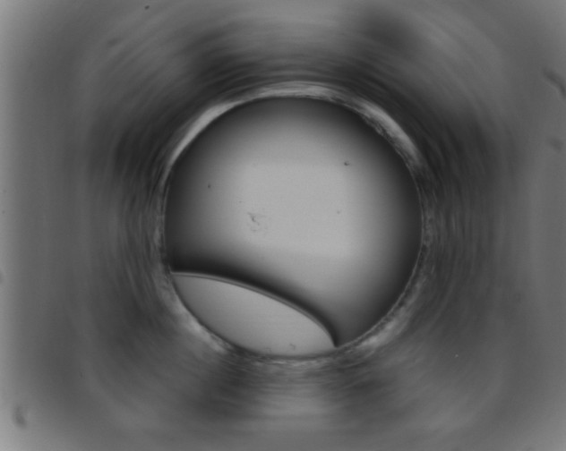 X0000097780860200803070912