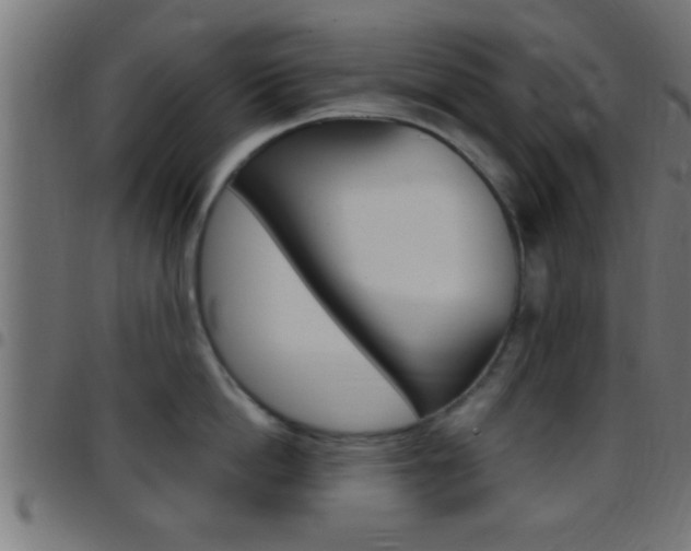 X0000097780862200803070912