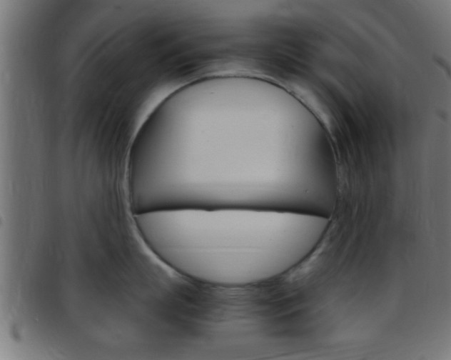 X0000097780863200803070912