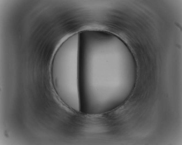X0000097780864200803070912