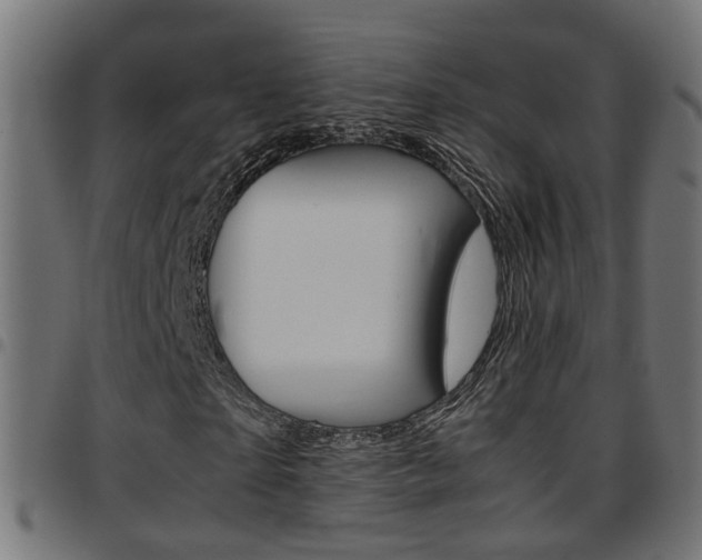 X0000097780865200803070911