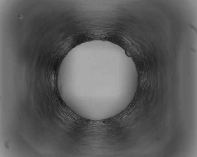 X0000097780866200803070911