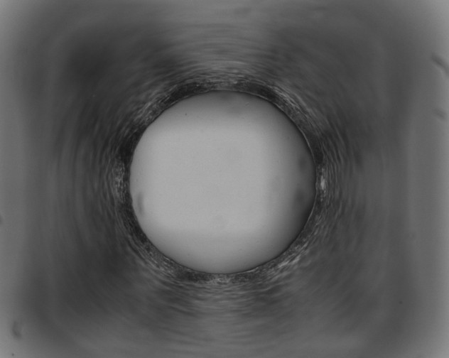 X0000097780867200803070911