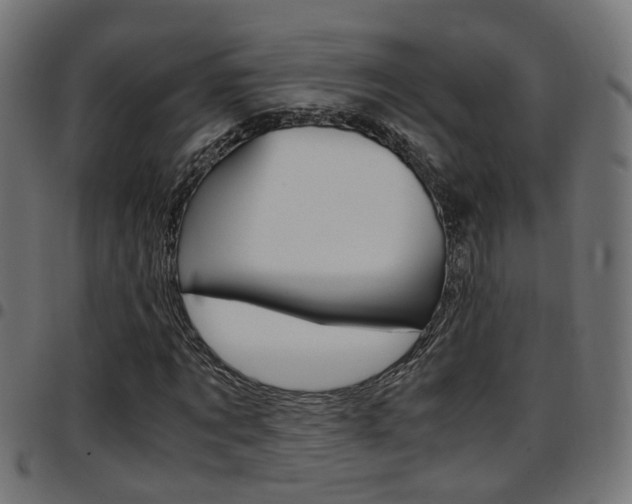 X0000097780869200803070911