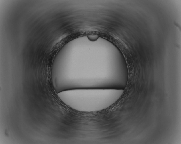 X0000097780870200803070911