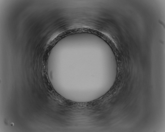 X0000097780871200803070911