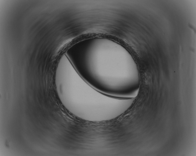 X0000097780872200803070911