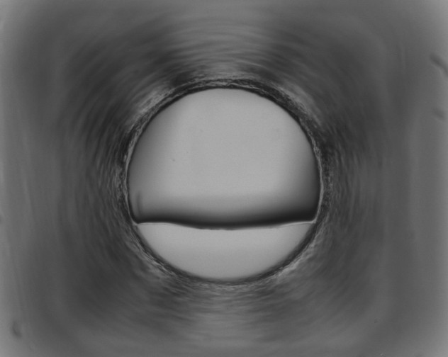 X0000097780873200803070911