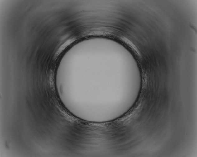 X0000097780874200803070911