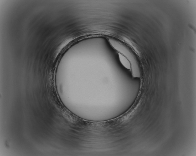 X0000097780875200803070911
