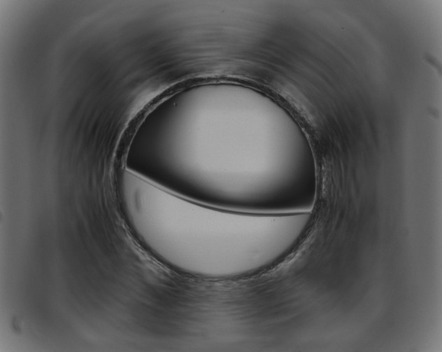 X0000097780876200803070911