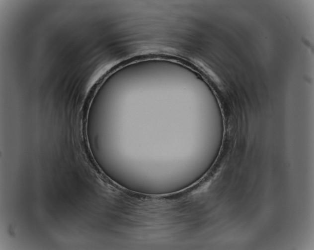 X0000097780877200803070911