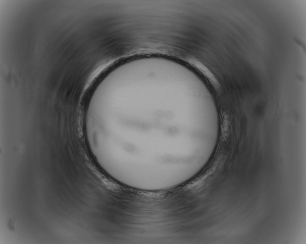 X0000097780878200803070911