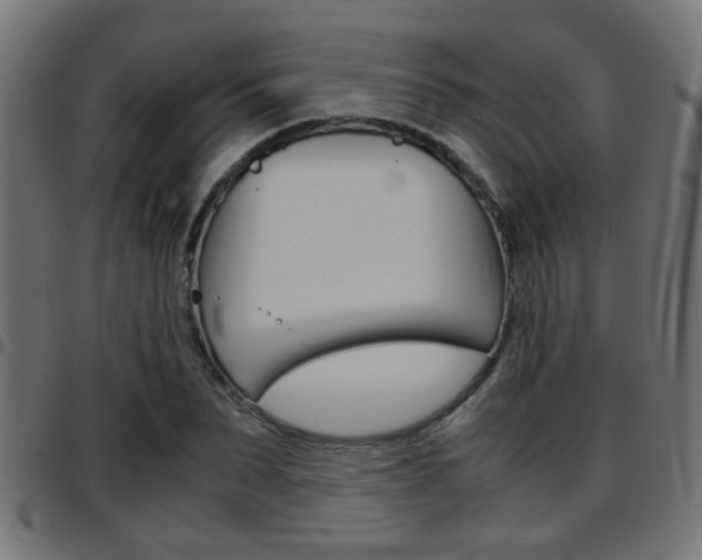 X0000097780879200803070911