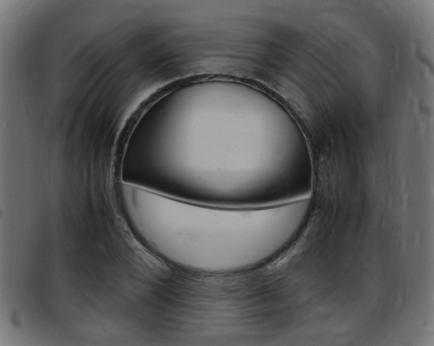X0000097780880200803070911