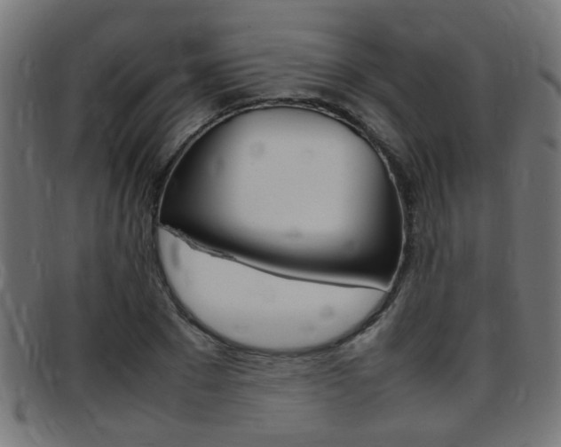 X0000097780881200803070911