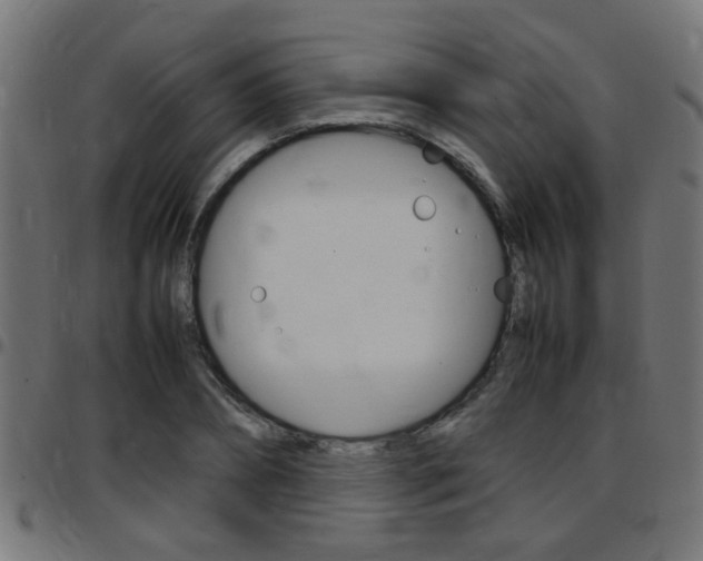 X0000097780882200803070911