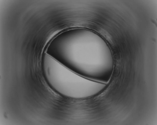 X0000097780884200803070911