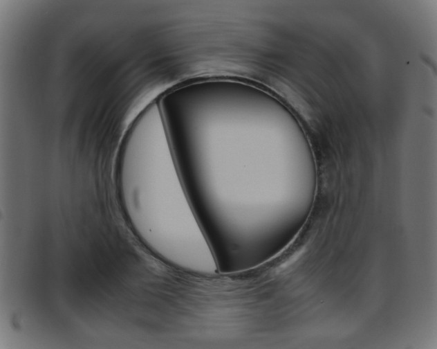 X0000097780885200803070911