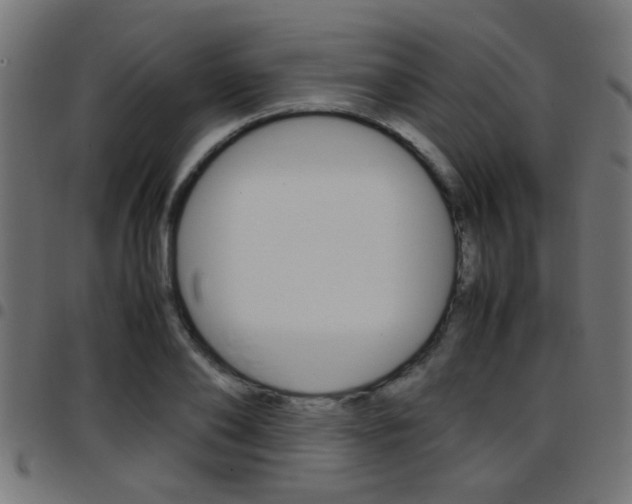 X0000097780886200803070911
