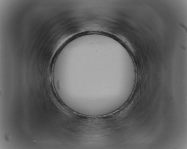 X0000097780887200803070911