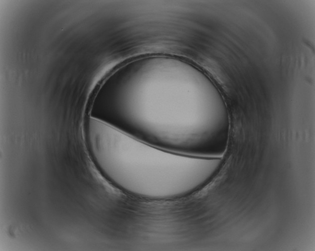 X0000097780888200803070911