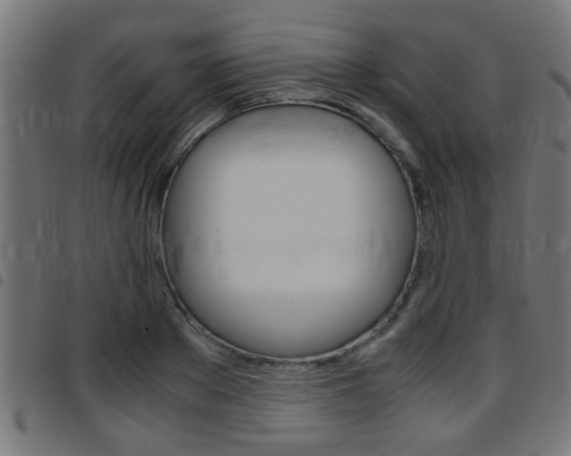 X0000097780889200803070911