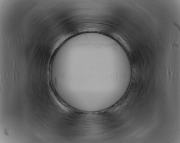 X0000097780890200803070911