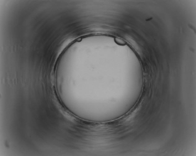 X0000097780891200803070911