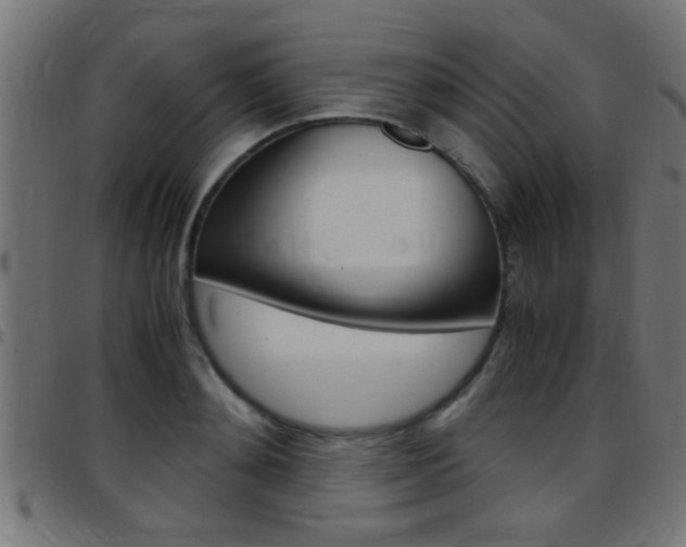 X0000097780892200803070911