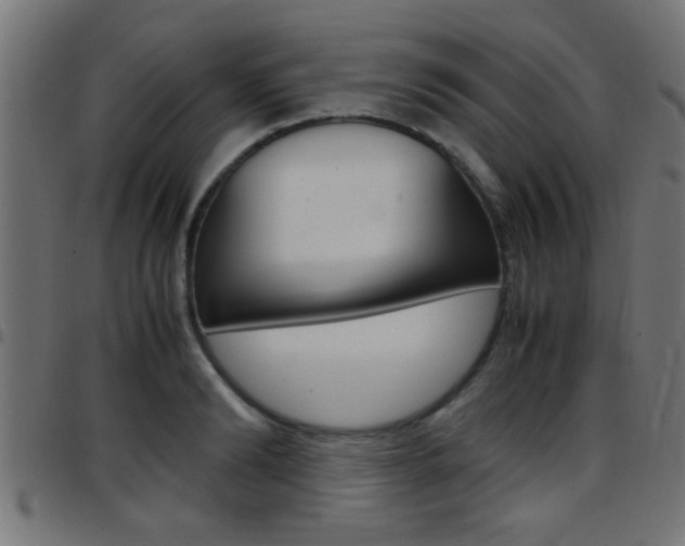 X0000097780894200803070911