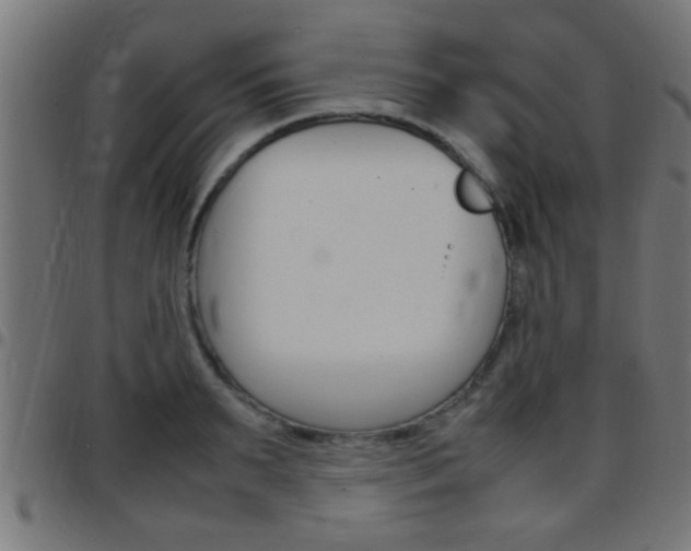 X0000097780895200803070911