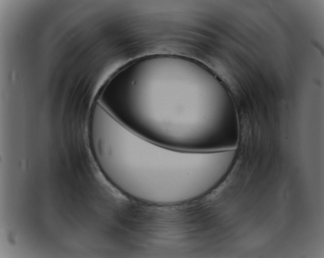 X0000097780896200803070911