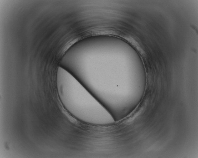 X0000097780897200803070911