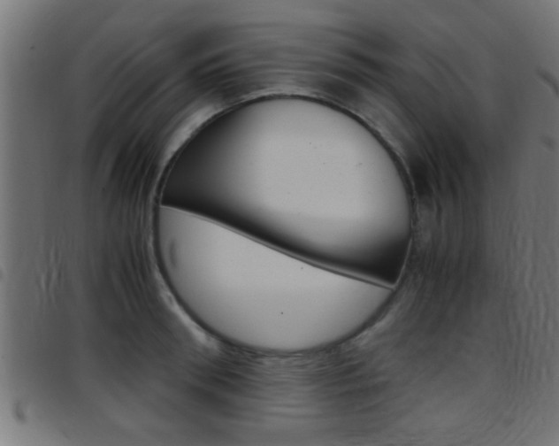 X0000097780898200803070911