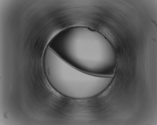 X0000097780900200803070911