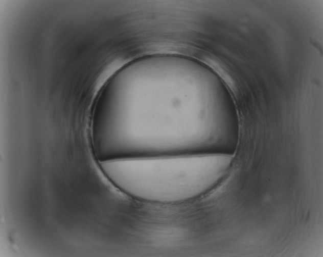 X0000097780901200803070911