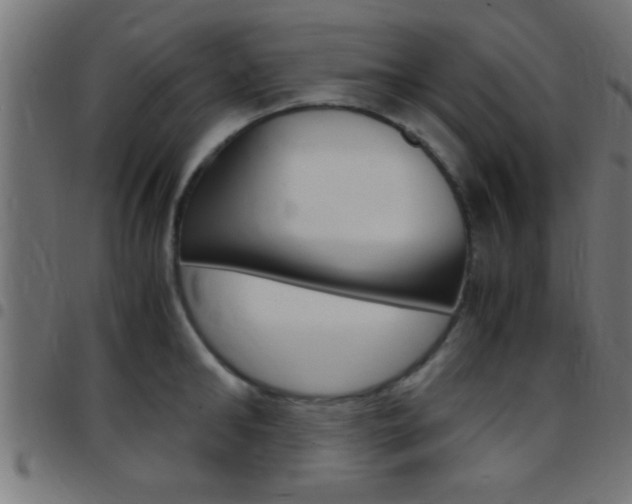X0000097780902200803070911
