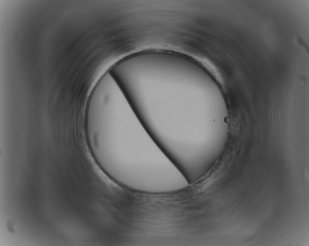 X0000097780903200803070911
